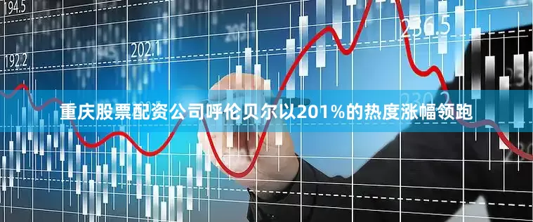 重庆股票配资公司呼伦贝尔以201%的热度涨幅领跑