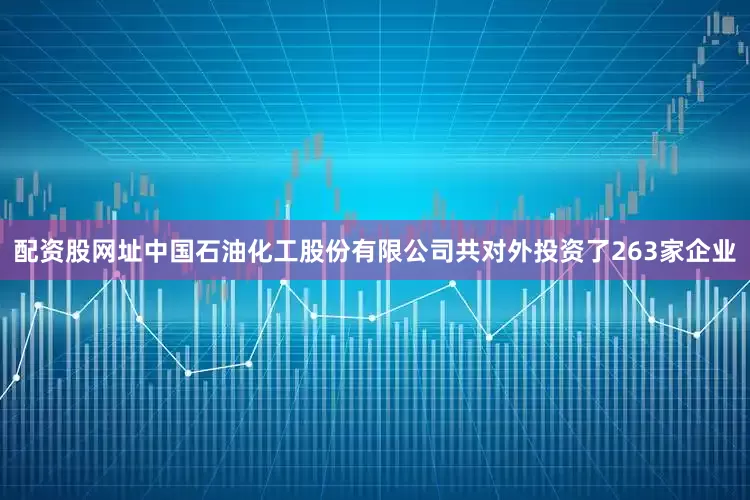 配资股网址中国石油化工股份有限公司共对外投资了263家企业
