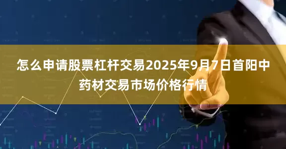 怎么申请股票杠杆交易2025年9月7日首阳中药材交易市场价格行情