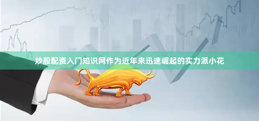 炒股配资入门知识网作为近年来迅速崛起的实力派小花